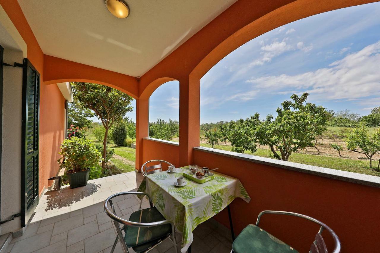 Вилла Easyliving House Near Zadar Поседарье Экстерьер фото